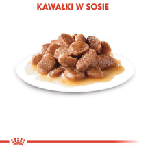 ROYAL CANIN FHN Instictive - šlapias paštetas suaugusioms katėms - 12 x 85 g ROYAL CANIN FHN Instictive - šlapias paštetas suaugusioms katėms - 12 x 85 g