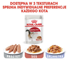 ROYAL CANIN FHN Instictive - šlapias paštetas suaugusioms katėms - 12 x 85 g ROYAL CANIN FHN Instictive - šlapias paštetas suaugusioms katėms - 12 x 85 g
