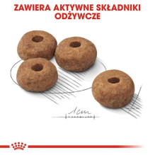 ROYAL CANIN CCN Medium Sterilised Adult - sausas šunų ėdalas - 12 kg ROYAL CANIN CCN Medium Sterilised Adult - sausas šunų ėdalas - 12 kg
