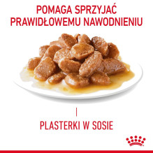 ROYAL CANIN šlapimo takų priežiūra padaže 12 x 85 g ROYAL CANIN šlapimo takų priežiūra padaže 12 x 85 g