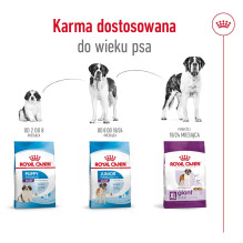 ROYAL CANIN Giant Adult - sausas šunų ėdalas - 15 kg ROYAL CANIN Giant Adult - sausas šunų ėdalas - 15 kg