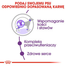 ROYAL CANIN Giant Adult - sausas šunų ėdalas - 15 kg ROYAL CANIN Giant Adult - sausas šunų ėdalas - 15 kg