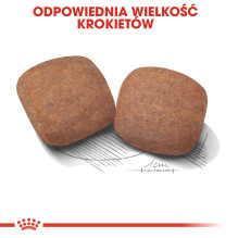 ROYAL CANIN Giant Adult - sausas šunų ėdalas - 15 kg ROYAL CANIN Giant Adult - sausas šunų ėdalas - 15 kg
