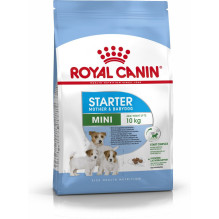 Royal Canin Mini Starter Mother Babydog sausas maistas suaugusioms katėms ir šuniukams, 1 kg Royal Canin Mini Starter Mother Babydog sausas maistas suaugusioms katėms ir šuniukams, 1 kg