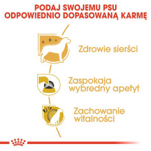 ROYAL CANIN BHN Jorkšyro terjerų sausas šunų maistas suaugusiems - 7,5 kg ROYAL CANIN BHN Jorkšyro terjerų sausas šunų maistas suaugusiems - 7,5 kg