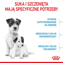Royal Canin Mini Starter Mother Babydog sausas maistas suaugusioms katėms ir šuniukams, 1 kg Royal Canin Mini Starter Mother Babydog sausas maistas suaugusioms katėms ir šuniukams, 1 kg