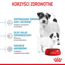 Royal Canin Mini Starter Mother Babydog sausas maistas suaugusioms katėms ir šuniukams, 1 kg Royal Canin Mini Starter Mother Babydog sausas maistas suaugusioms katėms ir šuniukams, 1 kg