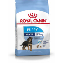 Royal Canin SHN Maxi Puppy - sausas šuniukų maistas - 4 kg