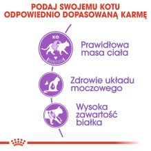 ROYAL CANIN sterilizuotų kačių sausas ėdalas – 4 kg ROYAL CANIN sterilizuotų kačių sausas ėdalas – 4 kg
