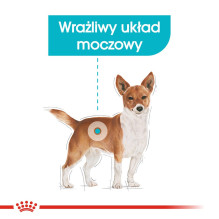 ROYAL CANIN Mini Urinary Care - dry dog food - 3 kg ROYAL CANIN Mini Urinary Care - dry dog food - 3 kg