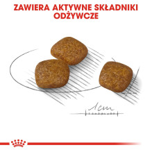 ROYAL CANIN Mini Urinary Care - sausas šunų ėdalas - 3 kg ROYAL CANIN Mini Urinary Care - sausas šunų ėdalas - 3 kg