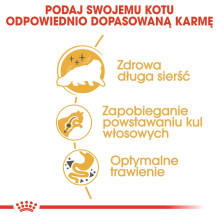 Royal Canin persų veislės kačių sausas maistas suaugusioms katėms, kukurūzai, paukštiena, 4 kg Royal Canin persų veislės kačių sausas maistas suaugusioms katėms, kukurūzai, paukštiena, 4 kg