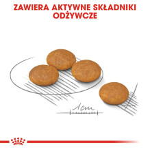 ROYAL CANIN Mini Dermacomfort - sausas maistas suaugusiems mažų veislių šunims su jautria, į dirginimą linkusia oda - 3 ROYAL CANIN Mini Dermacomfort - sausas maistas suaugusiems mažų veislių šunims su jautria, į dirginimą linkusia oda - 3