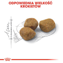 „Royal Canin Feline Fit“ sausas kačių maistas suaugusioms katėms, 2 kg. „Royal Canin Feline Fit“ sausas kačių maistas suaugusioms katėms, 2 kg.