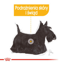 ROYAL CANIN Mini Dermacomfort - sausas maistas suaugusiems mažų veislių šunims su jautria, į dirginimą linkusia oda - 3 ROYAL CANIN Mini Dermacomfort - sausas maistas suaugusiems mažų veislių šunims su jautria, į dirginimą linkusia oda - 3