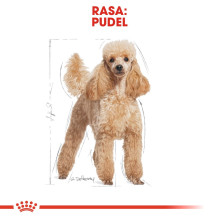 Royal Canin Poodle Adult...
