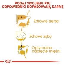 „Royal Canin“ pudelis suaugusiems 1,5 kg „Royal Canin“ pudelis suaugusiems 1,5 kg