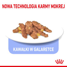 ROYAL CANIN FHN Indoor želė - šlapias ėdalas suaugusioms katėms - 12 x 85 g ROYAL CANIN FHN Indoor želė - šlapias ėdalas suaugusioms katėms - 12 x 85 g