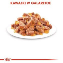 Royal Canin FHN Kitten Instinctive in sauce - wet food for kittens - 12x85g Royal Canin FHN Kitten Instinctive in sauce - wet food for kittens - 12x85g