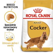 ROYAL CANIN suaugusių kokerspanielių sausas šunų ėdalas – 12 kg