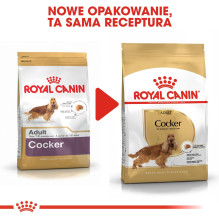 ROYAL CANIN suaugusių kokerspanielių sausas šunų ėdalas – 12 kg