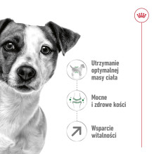 ROYAL CANIN Mini Adult +8 - dry dog food - 2 kg ROYAL CANIN Mini Adult +8 - dry dog food - 2 kg