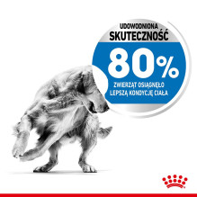 SHN vidutinio lengvumo kondicionierius 3 kg