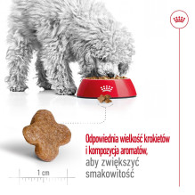 ROYAL CANIN Mini Adult +8 - sausas šunų ėdalas - 2 kg ROYAL CANIN Mini Adult +8 - sausas šunų ėdalas - 2 kg