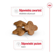 ROYAL CANIN Mini Adult +8 - sausas šunų ėdalas - 2 kg ROYAL CANIN Mini Adult +8 - sausas šunų ėdalas - 2 kg