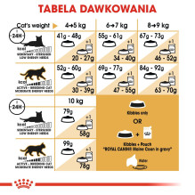 „Royal Canin FBN Maine Coon Adult“ – sausas ėdalas suaugusioms katėms – 4 kg