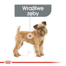ROYAL CANIN CCN Mini Dental Care - sausas ėdalas suaugusiems šunims - 3 kg ROYAL CANIN CCN Mini Dental Care - sausas ėdalas suaugusiems šunims - 3 kg