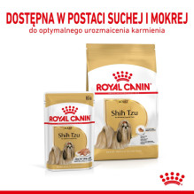 ROYAL CANIN Shih Tzu suaugusių šunų šlapias ėdalas paštetas 12x85 g