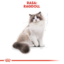 Royal Canin FBN Ragdoll sausas kačių ėdalas suaugusioms katėms 2 kg Royal Canin FBN Ragdoll sausas kačių ėdalas suaugusioms katėms 2 kg