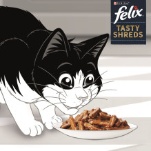 FELIX skanūs traškučiai su lašiša ir tunu - 4 x 80 g