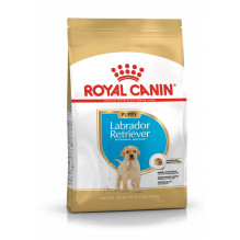 ROYAL CANIN SHN Breed Labrador Junior sausas šunų maistas - 12 kg ROYAL CANIN SHN Breed Labrador Junior sausas šunų maistas - 12 kg