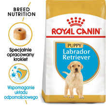 ROYAL CANIN SHN Breed Labrador Junior sausas šunų maistas - 12 kg ROYAL CANIN SHN Breed Labrador Junior sausas šunų maistas - 12 kg