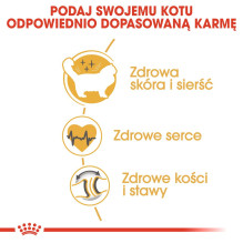 Royal Canin FBN Ragdoll sausas kačių ėdalas suaugusioms katėms 2 kg Royal Canin FBN Ragdoll sausas kačių ėdalas suaugusioms katėms 2 kg
