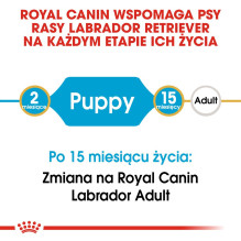 ROYAL CANIN SHN Breed Labrador Junior sausas šunų maistas - 12 kg ROYAL CANIN SHN Breed Labrador Junior sausas šunų maistas - 12 kg
