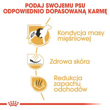 „Royal Canin BHN“ sausas šunų maistas suaugusiems prancūzų buldogams, 9 kg