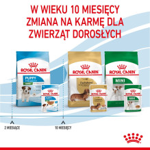 ROYAL CANIN SHN Mini Puppy padaže - šlapias šuniukų ėdalas - 12 x 85 g