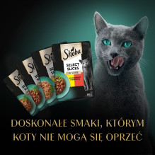 Sheba Selection in Sauce Juicy Flavours 12 x 85 g Sheba Selection in Sauce Juicy Flavours 12 x 85 g