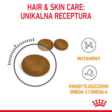 ROYAL CANIN HairSkin Care - sausas kačių ėdalas - 4 kg