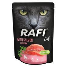 DOLINA NOTECI RAFI CAT...