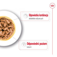 ROYAL CANIN Mini Ageing - šlapias šunų ėdalas - 12 x 85 g