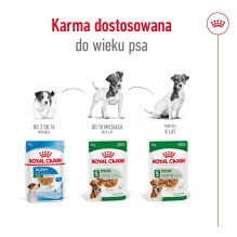 ROYAL CANIN Mini Ageing - šlapias šunų ėdalas - 12 x 85 g