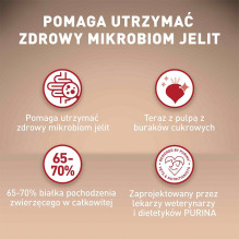 PURINA One Mini sausas šunų ėdalas suaugusiam šuniui su jautiena ir ryžiais, 800 g