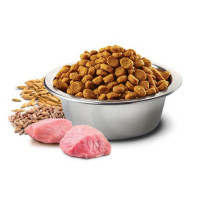 Farmina augintinių ėdalas ND Ancestral Grain Canin suaugusiam šuniui, 15 kg, vištiena Farmina augintinių ėdalas ND Ancestral Grain Canin suaugusiam šuniui, 15 kg, vištiena