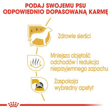 ROYAL CANIN Maltos bišonams skirtas sausas šunų maistas suaugusiems – 1,5 kg ROYAL CANIN Maltos bišonams skirtas sausas šunų maistas suaugusiems – 1,5 kg