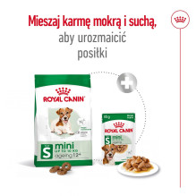 ROYAL CANIN Mini Aging Adult +12 - sausas šunų ėdalas - 3,5 kg ROYAL CANIN Mini Aging Adult +12 - sausas šunų ėdalas - 3,5 kg