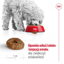 ROYAL CANIN Mini Aging Adult +12 - sausas šunų ėdalas - 3,5 kg ROYAL CANIN Mini Aging Adult +12 - sausas šunų ėdalas - 3,5 kg